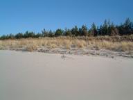 Resize of DSCF2563.JPG